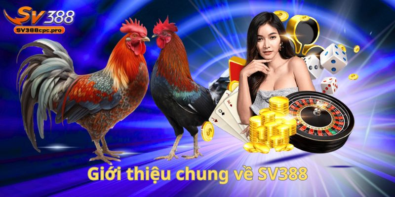 SV388 - Hướng Dẫn Nạp Rút Tiền Nhanh Chóng, An Toàn Và Minh Bạch 2025 1 Giới thiệu chung về SV388